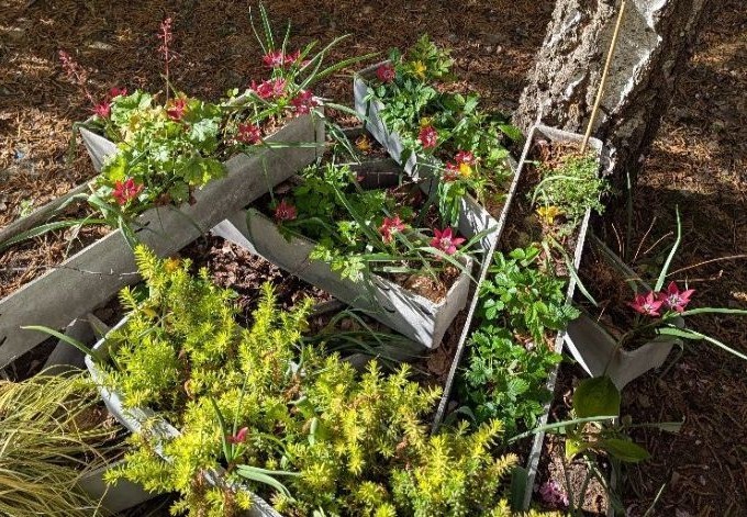 Mag. Richard Steinmetz kreativ gestapelte Blumenkisterl mit Bepflanzung