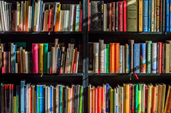 Bücher in verschiedenen Sprachen in einem Regal