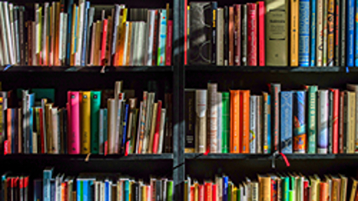 Bücherregal mit vielen Büchern