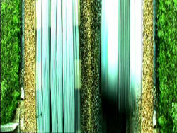 Prima Interventionen