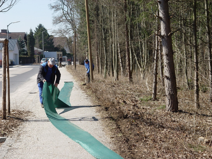 Aufstellen des Krötenzauns am „Langen Zaun“. Foto: NaSt