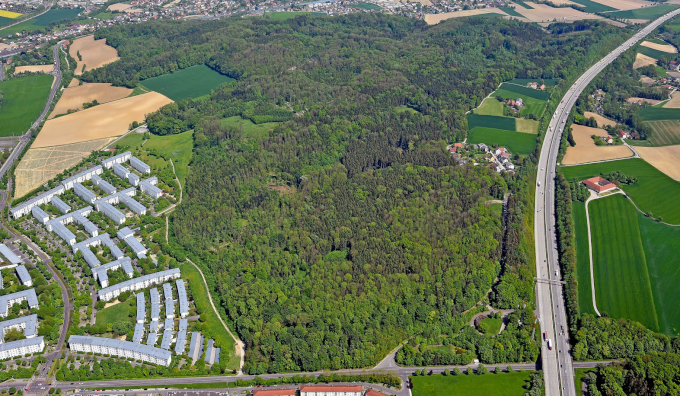 Der Schiltenbergwald in Ebelsberg – 1995 erwarb die Stadt noch 100 ha zur Sicherung des Grüngürtels; Foto: PTU, Pertlwieser