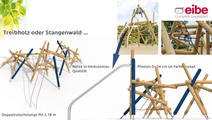 Treibholz oder Stangenwald (Foto: Eibe)