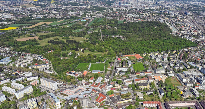Wasserwald in Kleinmünchen-Auwiesen; Foto: PTU, Pertlwieser