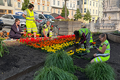 Personengruppe beim Bepflanzen von Beeten