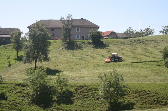 Landwirtschaft in Linz