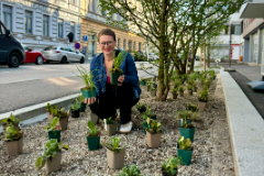Klimastadträtin Mag.a Eva Schobesberger beim Lokalaugenschein in der Schillerstraße