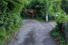 Waldweg; Foto: privat