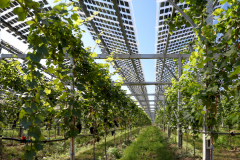 Foto: CLEEN Energy AG