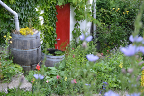 Paula Polak spricht am 3. April über nachhaltige Gartengestaltung. Foto: Paula Polak