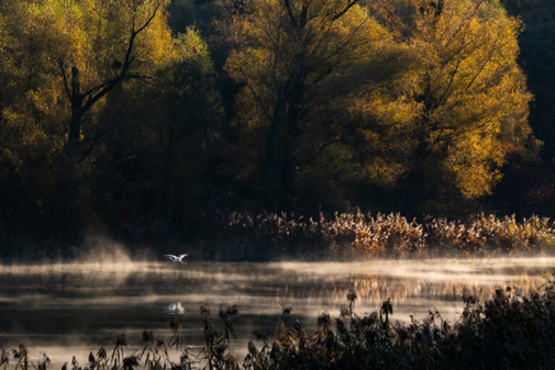 Ausstellung Naturfotografie vom 31.1.-15.2. im Seminarraum. Foto: Rupert Kogler