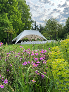 Die Open-Air B&uuml;hne im Botanischen Garten. Foto: Jutta Reisinger
