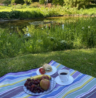 Familienpicknick am 12. Juli. Foto: Jutta Reisinger