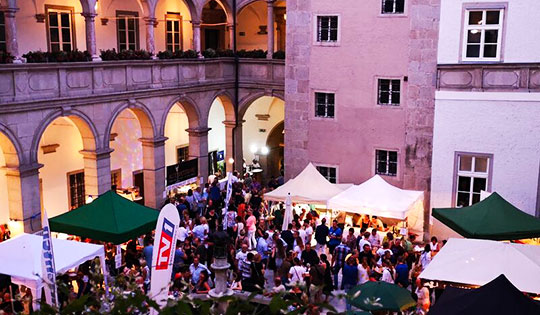 Verein Altstadt Neu