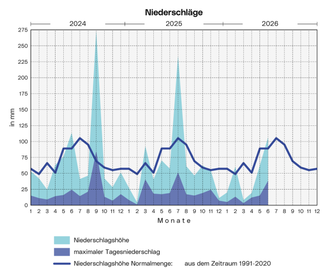 Niederschläge: Die Grafik zeigt die Niederschlagsmenge, den langjährigen Durchschnitt und den höchsten Tagesniederschlag pro Monat ab 2024.